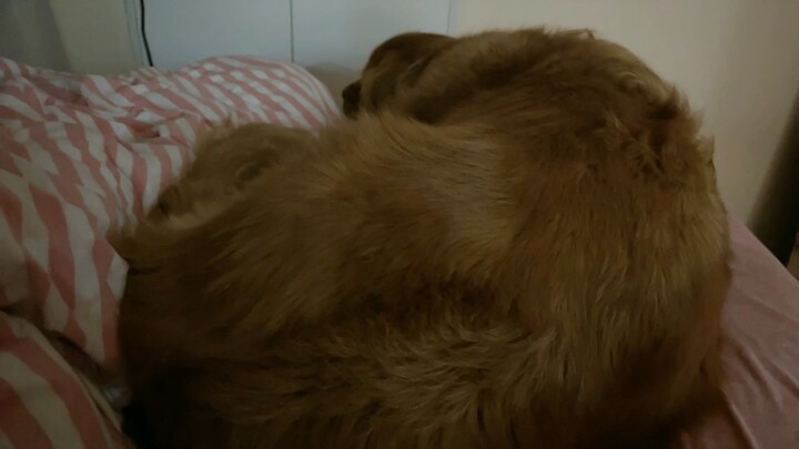 ไม่สนุก อย่าลืมเปิดเสียงเบาๆ! ช่วงท้ายวิดีโอมีแต่เสียงดังและดุเดือด