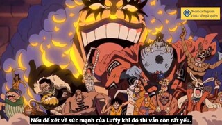 Monica Ingram chúa tể ngủ quên - Review -  Top Hải Tặc Mạnh Nhất Từng Bị Nhốt #anime #schooltime