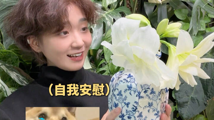 Ya ampun, akhirnya aku berhasil merawat satu pot bunga... tapi