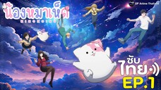 น้องหมาเห็ดเเสนรู้ [ Kinokoinu Mushroom Pup ] - ตอนที่ 01 [ซับไทย] 2K