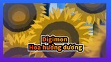 Digimon|【Tamers】Nhạc nền-Hoa hướng dương