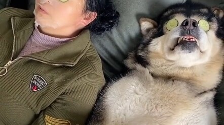 Về với núi biển, Lạc Lạc nhớ về nhà thăm bà nhé #Chó #Thú cưng