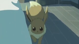 [Pokémon Sleep] Pokémon wake you up - Collection