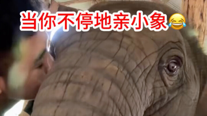 Gajah kecil tampak sedih—baru sebentar saja sudah tidak melihat ayahnya—haha