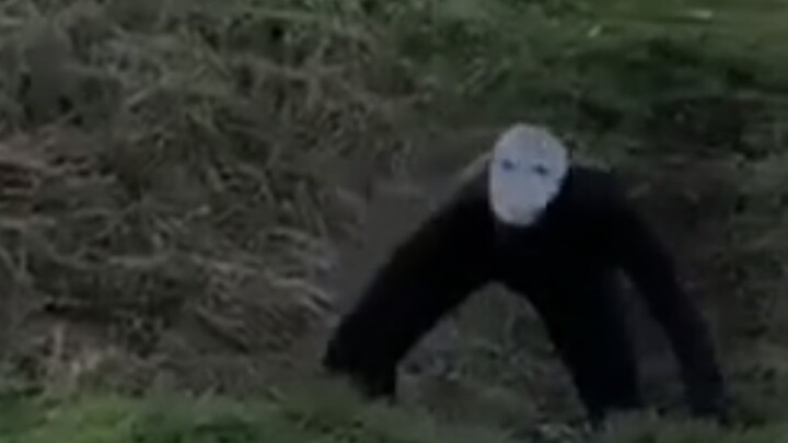 Let me show you some things from the mortal world 2