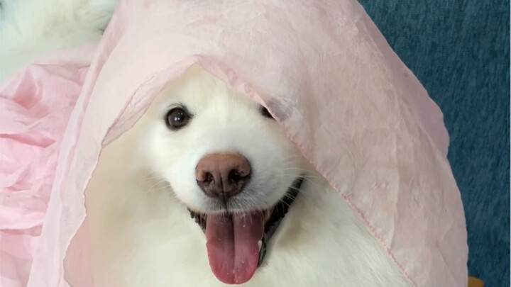 Chỉ cần trang điểm nhẹ là đẹp ngay!