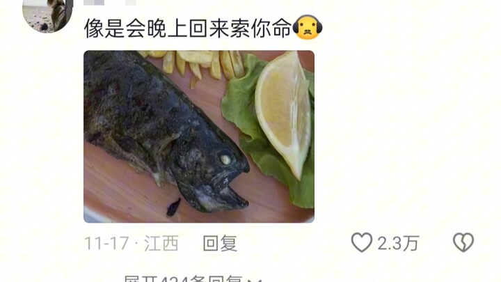 Giờ thì đã hiểu vì sao người ăn chay lại nói thịt chính là xác động vật rồi