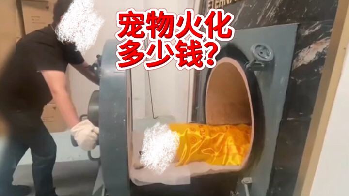 สัมภาษณ์เจ้าของธุรกิจจัดงานศพสัตว์เลี้ยง