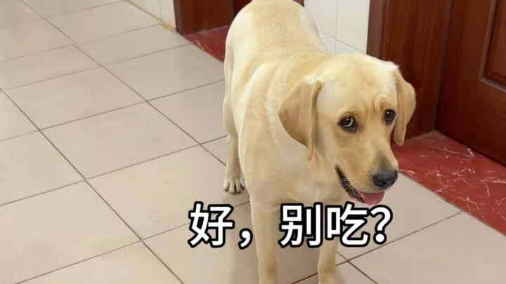 Change “Okay, go ahead and eat” to “Okay, don’t eat.”