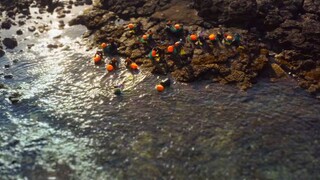 Welcome to Samdal-ri  -Episode8  (Subtitled - ENGLISH)