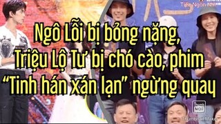 Phim Tinh hán xán lạn ngừng quay :Ngô Lỗi bị bỏng nặng, Triệu Lộ Tư bị c.h.ó cào