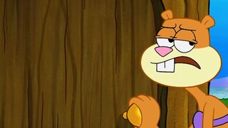 SpongeBob SquarePants: Pernahkah Anda melihat Balapan Kapal dalam Botol? Kapal Tuan Krabs mengagetka