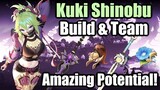 Kuki Shinobu Build & Team Comp, Artifacts & Weapons, Amazing Support Potential