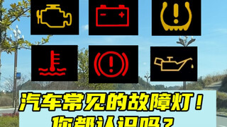 Seven common warning lights in cars—do you recognize them, newbie friends? #OneCarTipEveryDay