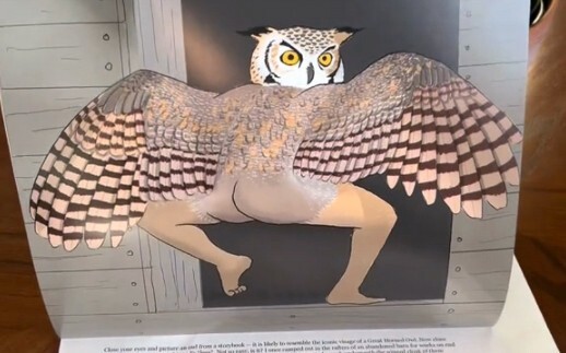 When a friend gave me a bird calendar