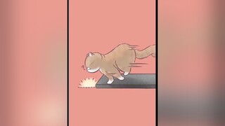 Lại trò mèo🤣 mèo cute foryou