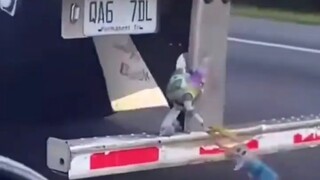 这这这，万一是真的呢！