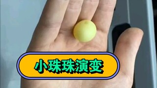 一颗小珠珠的演变