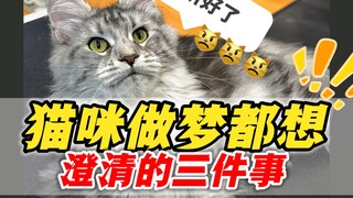 Six things cats dream of clarifying—listen up!