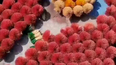 "Nghệ thuật bắt nguồn từ cuộc sống"