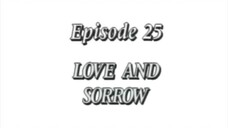 Fushigi Yuugi 25