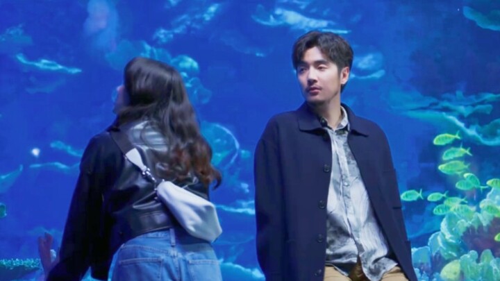 The moment he quietly watched her at the aquarium, every idol drama paled in comparison! This is the