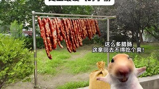 史上最硬气的小偷