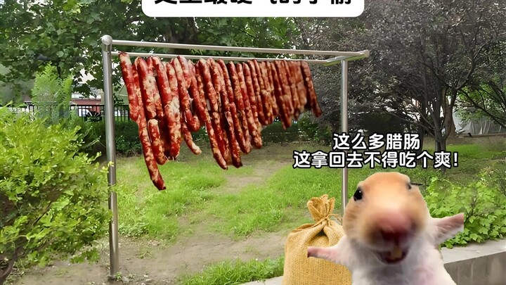 史上最硬气的小偷