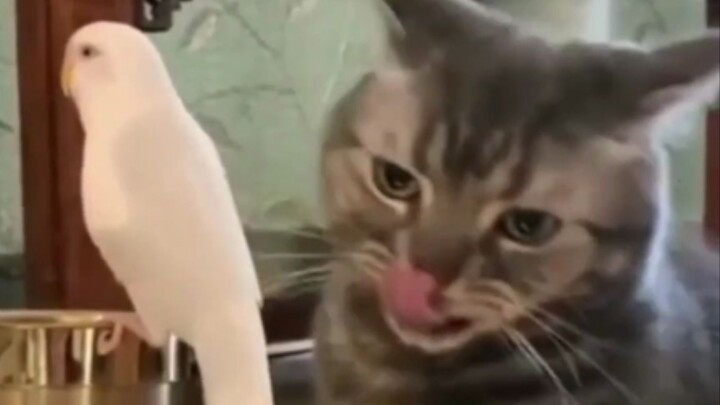 Dude, this is so delicious 😋!!