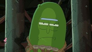 Pickled cucumber rick (2/4)