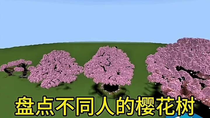 A roundup of cherry trees from different people