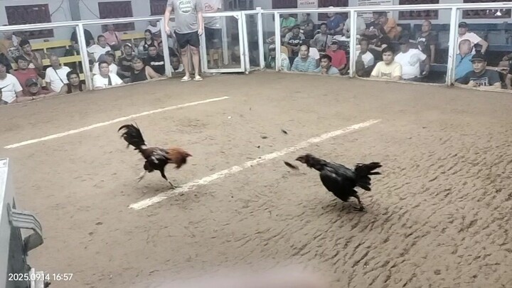 mayahin vs binabae Ganito masaklap sabuNgan Kapag Alam mo my palo pero walang tama kalaban mo..