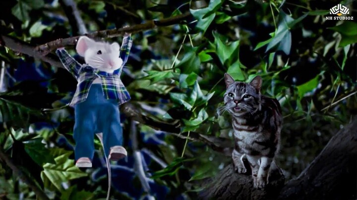 Snowbell ne de Stuart ki Supari.....