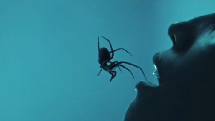 Laba-laba Tapi Bukan Sp*derman 🕷️🕸️|| Film Crawlers (2026)