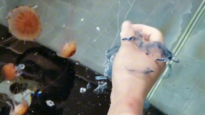 Cho sứa uống nước nè, hihi!