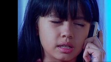 26 Monyet Cantik