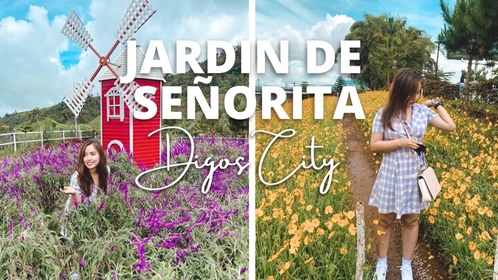 JARDIN DE SEÑORITA (THE NETHERLANDS OF MINDANAO) | Kapatagan, Digos City - Travel Video