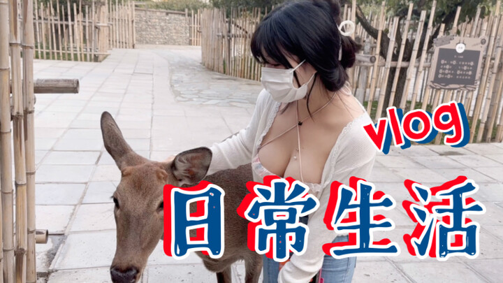 Daily Life | A Day Trip to the Wildlife Park