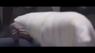 إنها حقاً معركة وسائد!