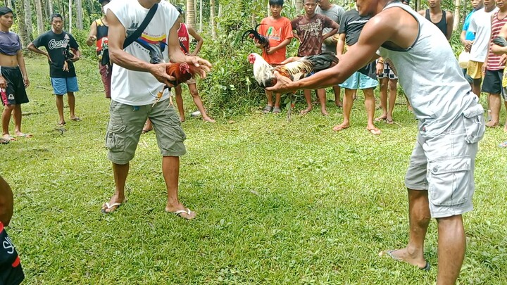 Win Talisay atin mga boss