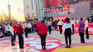 Fallin’ Flower路演！！！落花落花