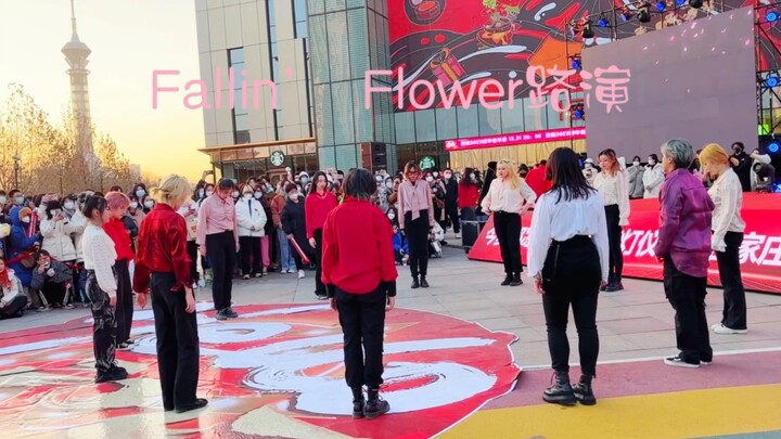 Fallin’ Flower路演！！！落花落花