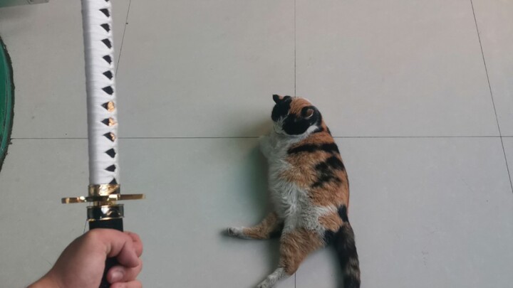 Trying to slash a cat (pig) with the Enma Blade