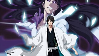 【BLEACH/蓝染惣右介】决战向：所谓的力量，是用来形容这种东西的！