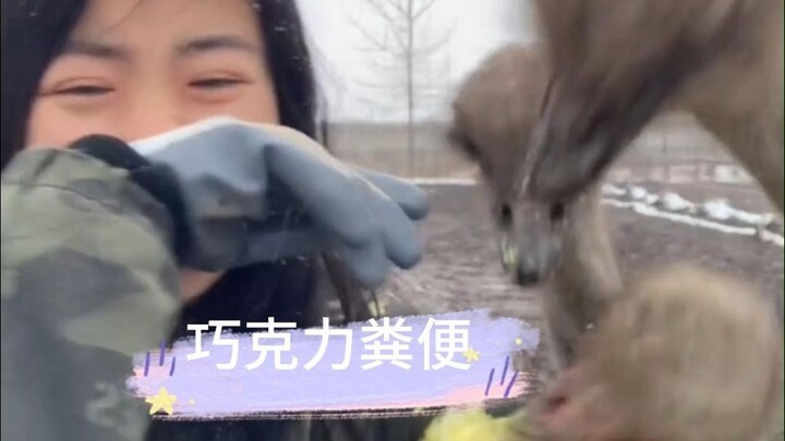 You must be really hungry—can you eat anything?