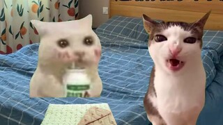 الأم التي تعيش داخل بطانية