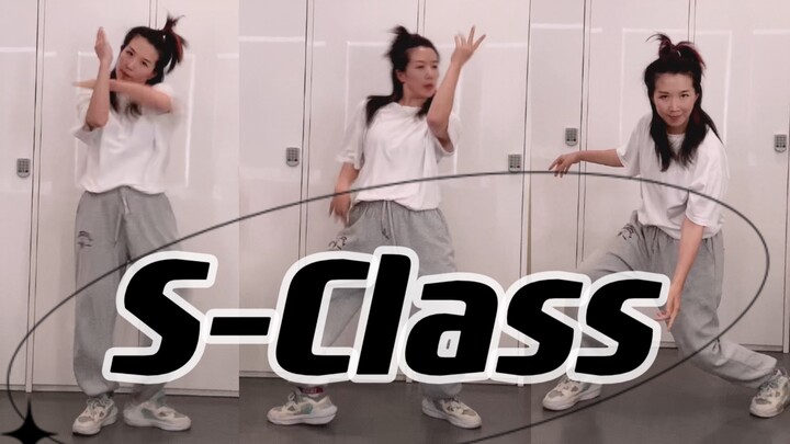 【Little Tiger】Straykids S-Class Slow Flip