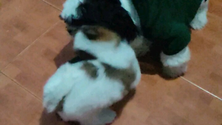 Dalawa na Sila guys😊