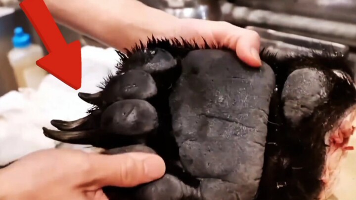 A rare glimpse into the braised bear paw cooking process—see how a top-tier foreign chef transforms 