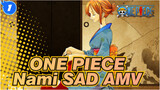 ONE PIECE|[Nami]Luffy: Do not cry my mariner (BGM: I really want to love this world!)_1